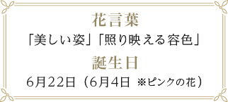 ダマスクローズの花言葉「美しい姿」「照り映える容色」、誕生日「6月22日（6月4日※ピンクの花）」