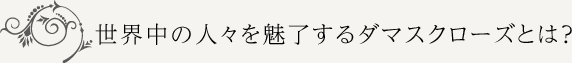 世界中の人々を魅了するダマスクローズとは？