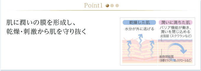 Point1.肌に潤いの膜を形成し、乾燥・刺激から肌を守り抜く