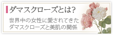 ダマスクローズとは？